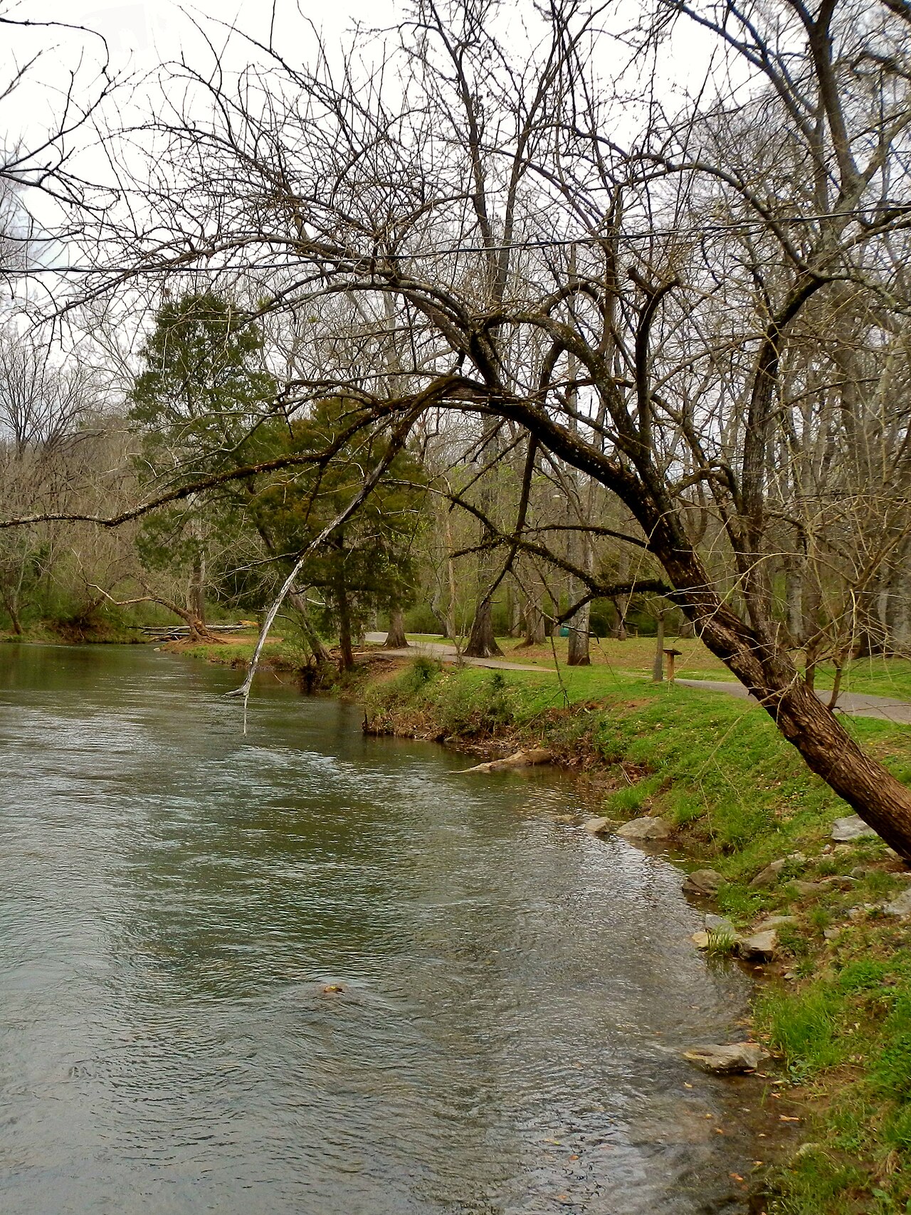 Shoal Creek Park